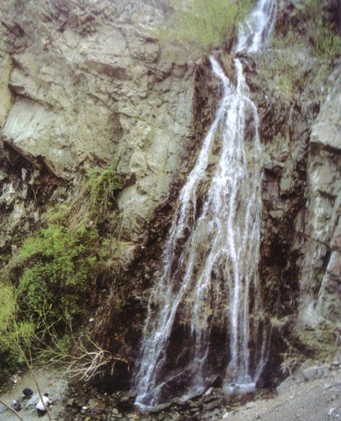 تصویر کوچک